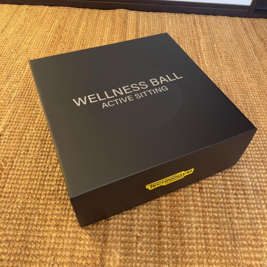 エクササイズグッズ Technogym WELLNESS BALL 55cm