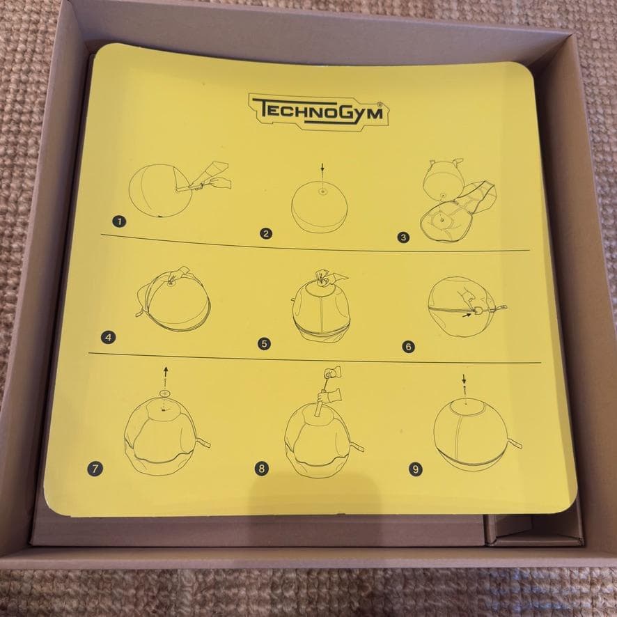 エクササイズグッズ Technogym WELLNESS BALL 55cm