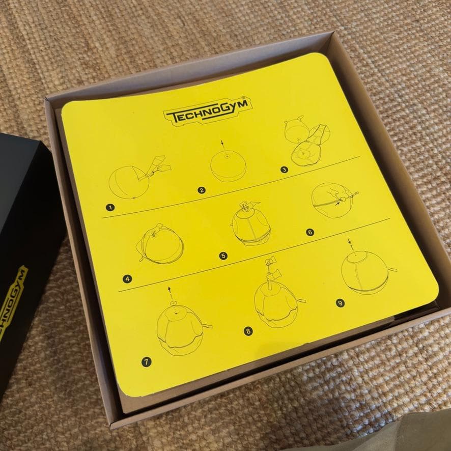 エクササイズグッズ Technogym WELLNESS BALL 55cm
