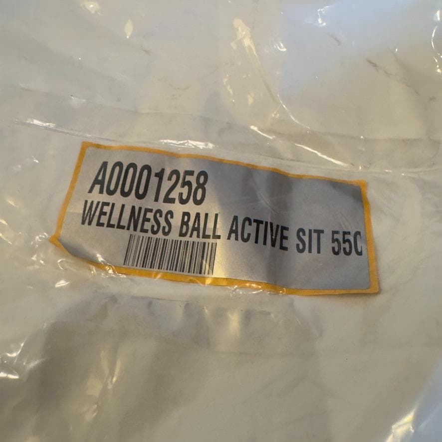 エクササイズグッズ Technogym WELLNESS BALL 55cm