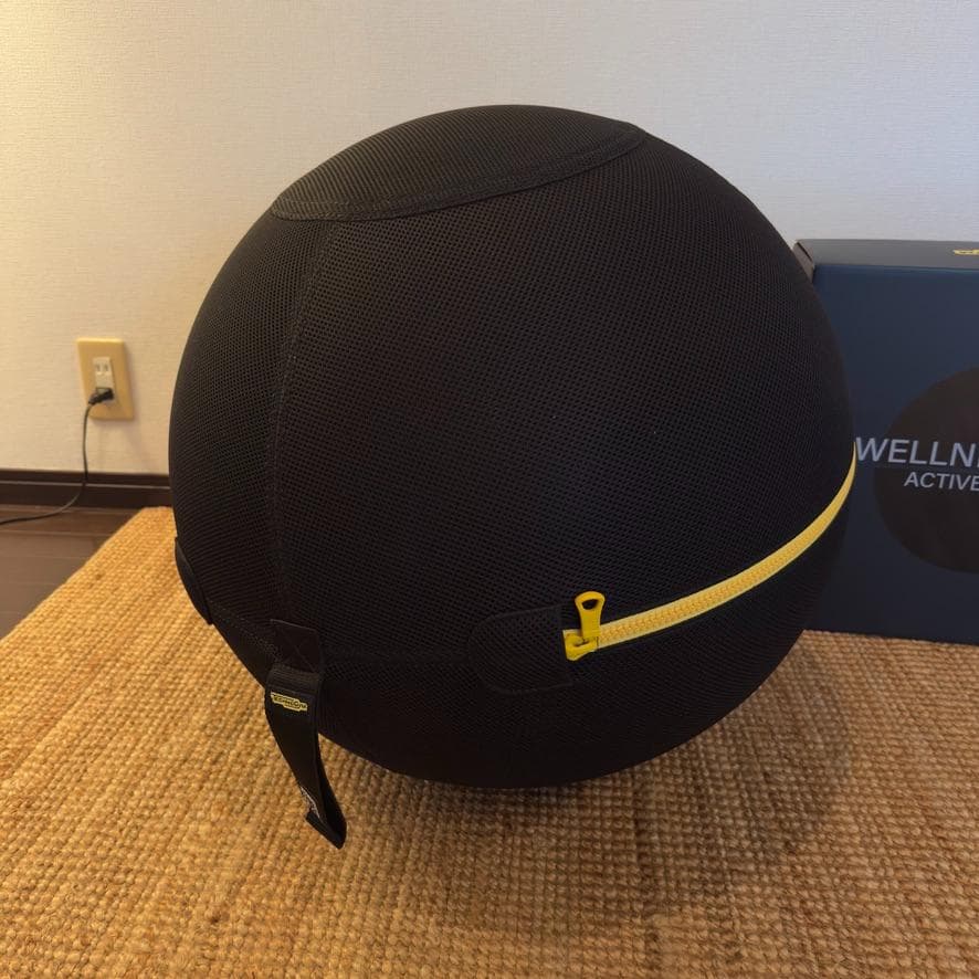 エクササイズグッズ Technogym WELLNESS BALL 55cm