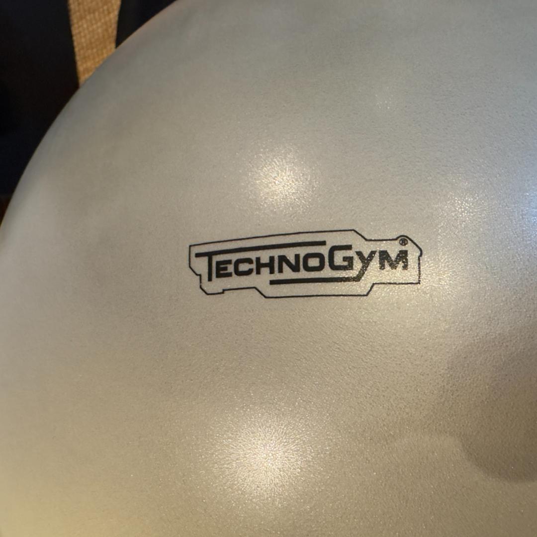 エクササイズグッズ Technogym WELLNESS BALL 55cm