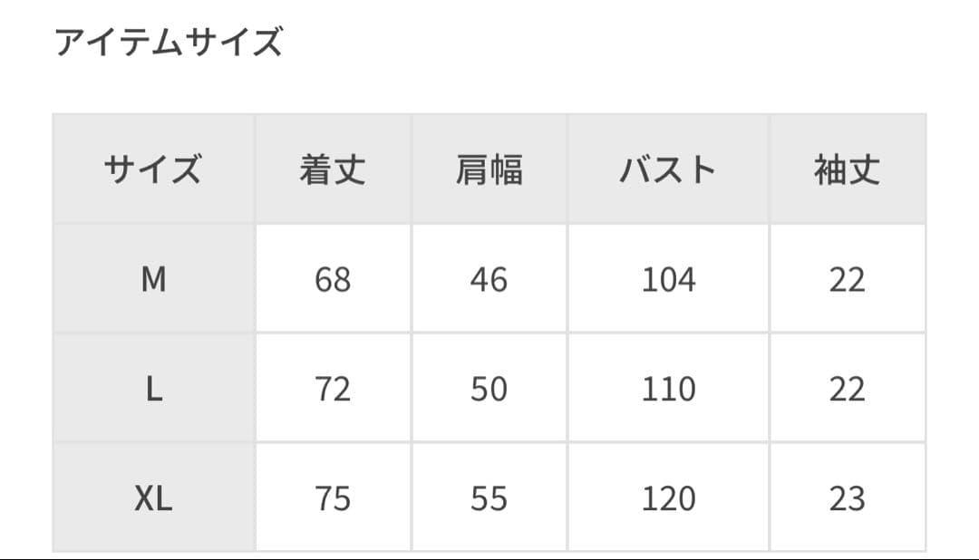 アダムエロペ oasisTシャツD’You Know What I Mean?