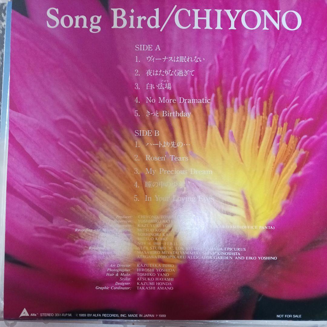 CHIONO Song Bird レコード　見本盤