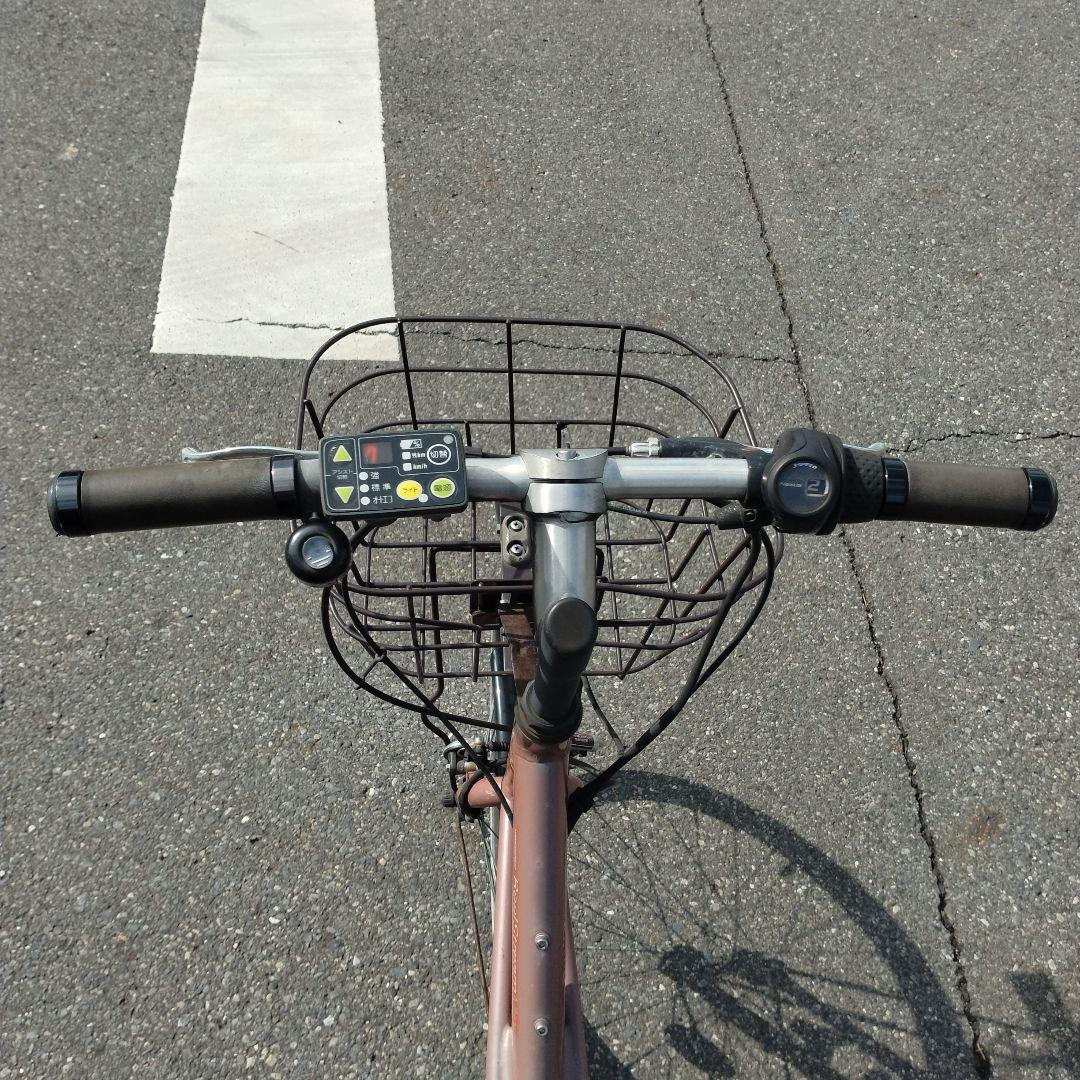 デタケパンダ様[699]送料無料 Real Stream Mini 電動自転車