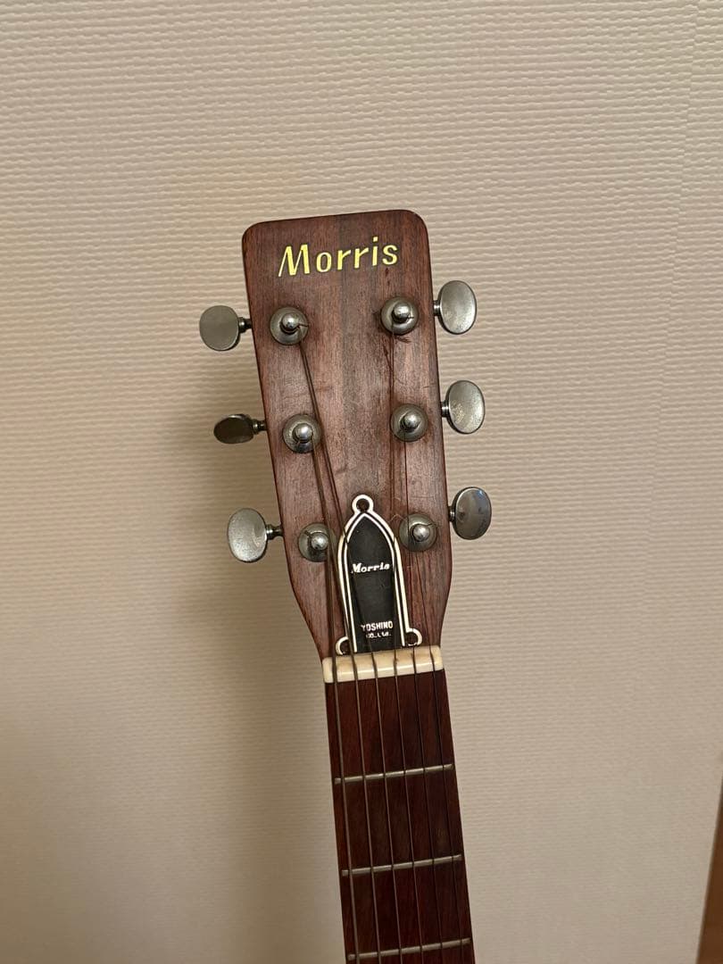 Morris アコースティックギター