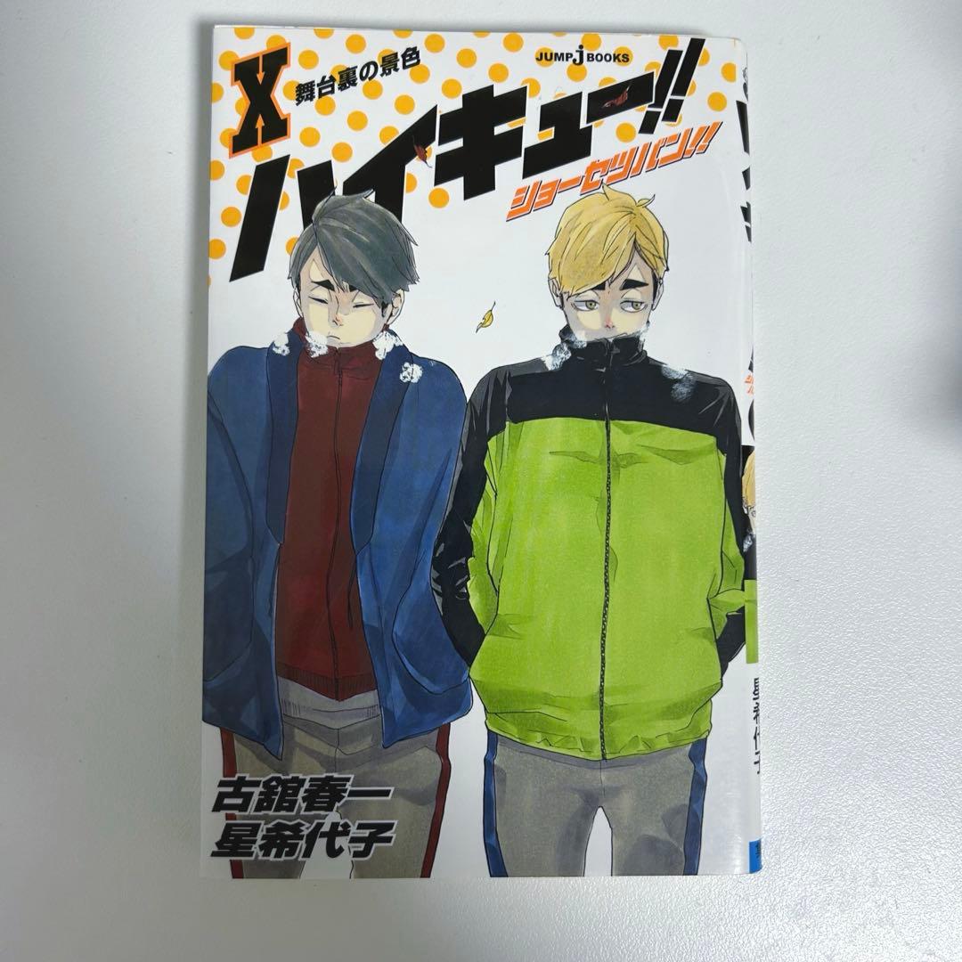ハイキュー!! 1〜29巻 +れっつ！ハイキュー？！1・2巻+ 小説版
