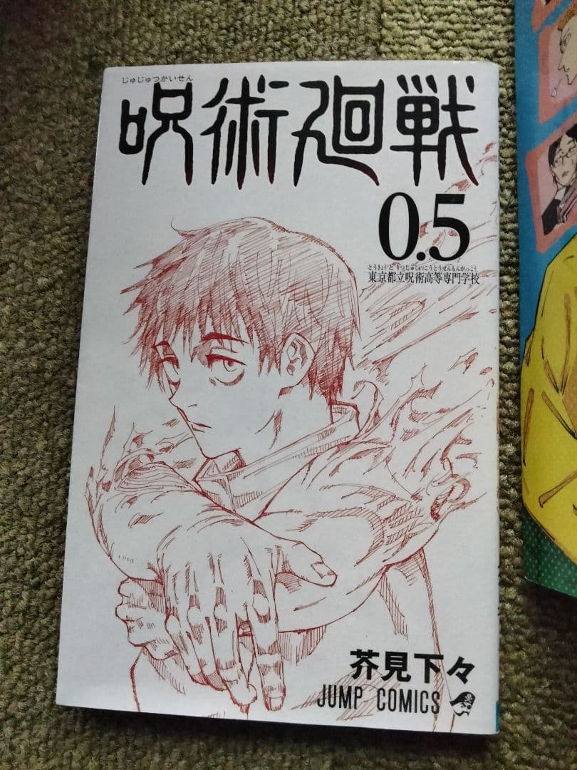 呪術廻戦 全３０巻セット + 0.5巻　プラス２冊ファンブックなど