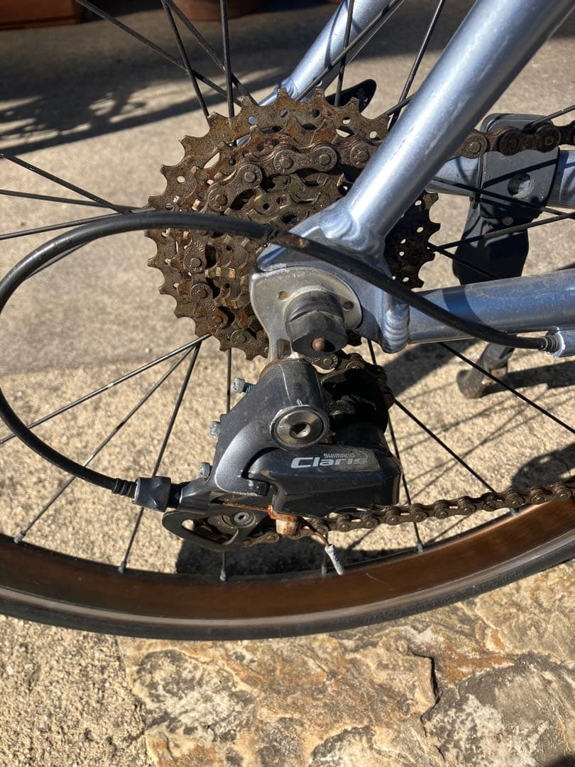 【脹相】中古　自転車　ロードバイク　TERN RIP サイズ50