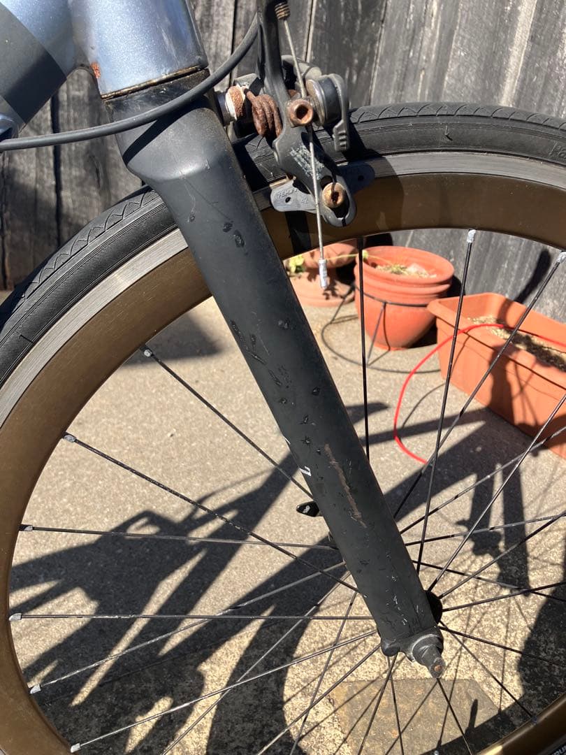 【脹相】中古　自転車　ロードバイク　TERN RIP サイズ50