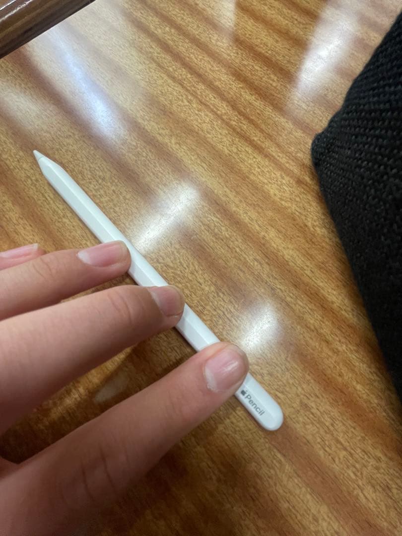 Apple Pencil ホワイト USB-C