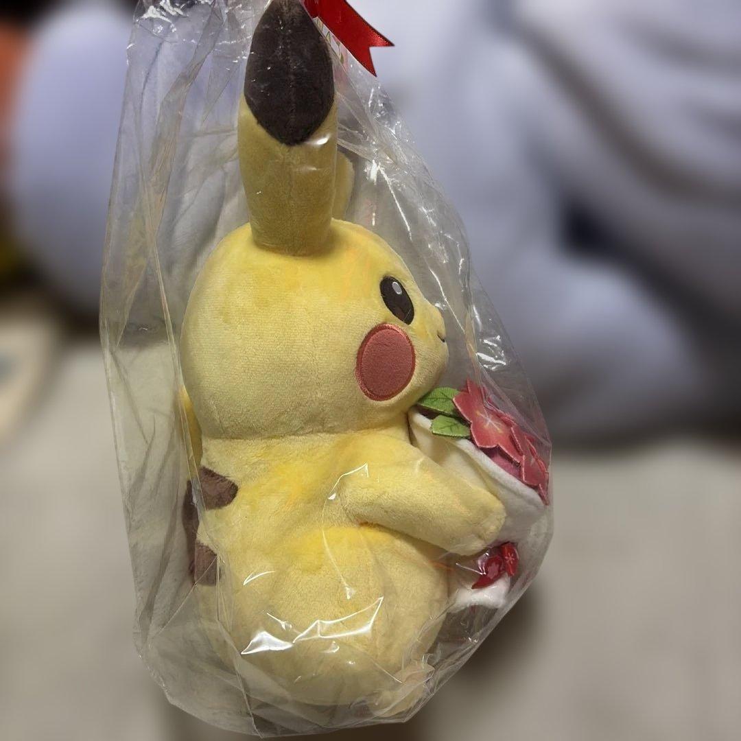 ぬいぐるみforYou ピカチュウとグラデシアのブーケ大