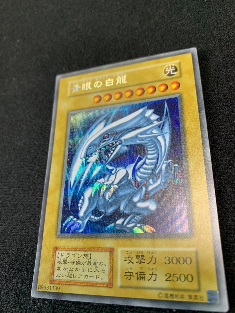 海馬セット　シクブル　美品