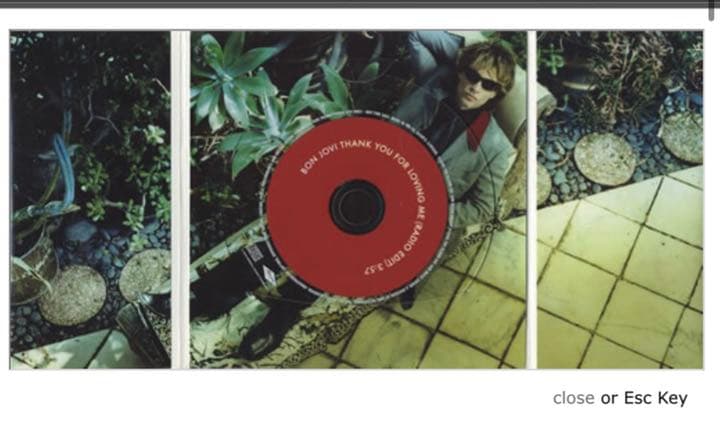 超貴重　非売品　BON JOVI  THANK YOU FOR LOVINGME
