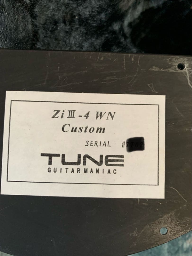 Zi III-4 WN Custom Bartolini搭載／18V仕様
