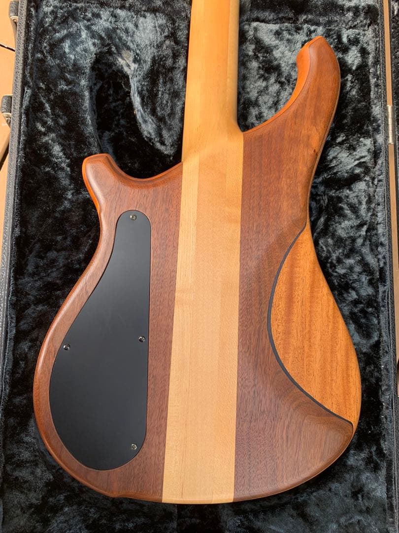 Zi III-4 WN Custom Bartolini搭載／18V仕様