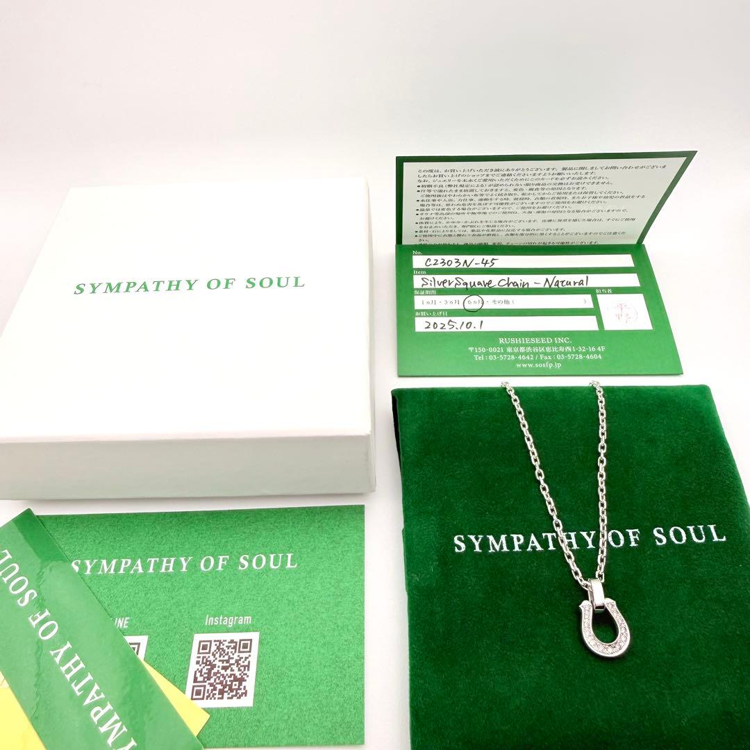 ●【極美品】SYMPATHY OF SOUL ミディアムホースシューペンダント