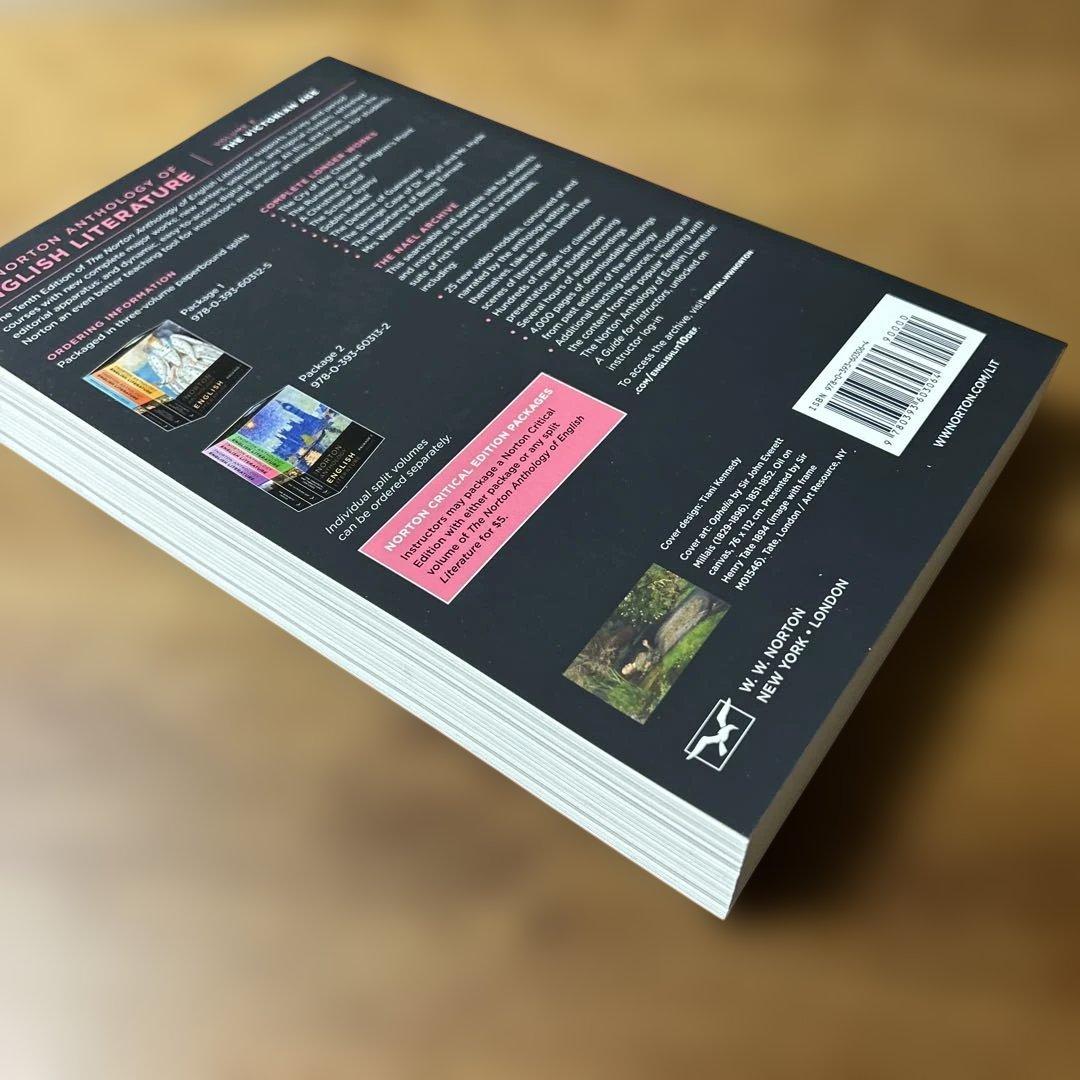 （こまちゃんさん専用）【6冊セット】ノートン・アンソロジー・イングリッシュ・リタ