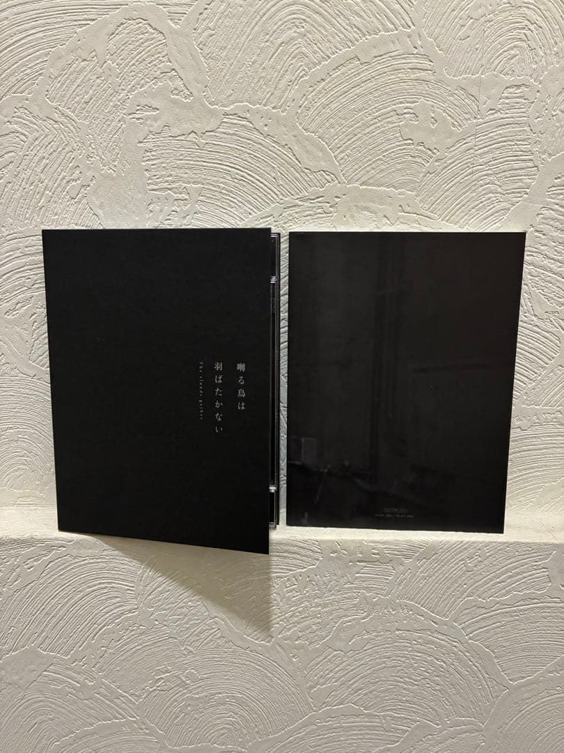 美品　完全生産限定版　劇場版囀る鳥は羽ばたかない　DVD