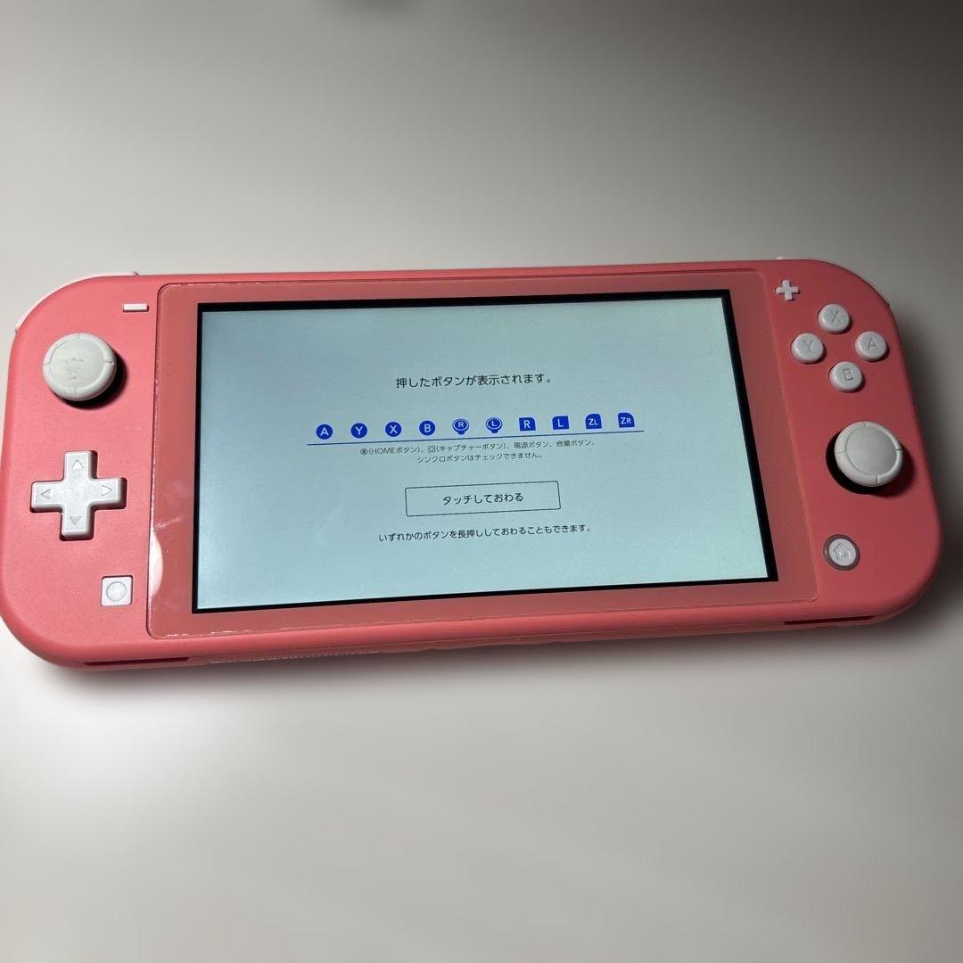 な*様 【訳あり・動作問題なし】Nintendo Switch Lite 本体