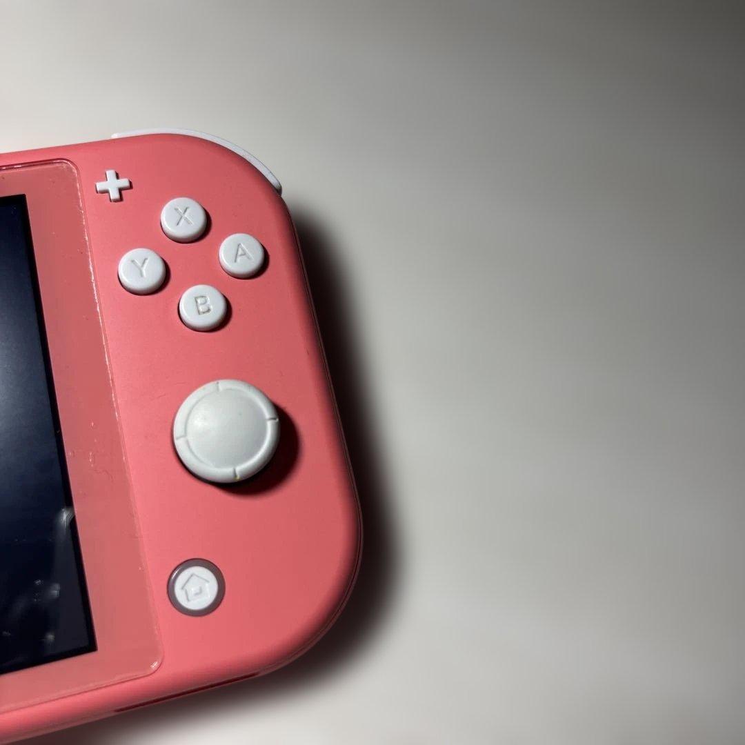 な*様 【訳あり・動作問題なし】Nintendo Switch Lite 本体