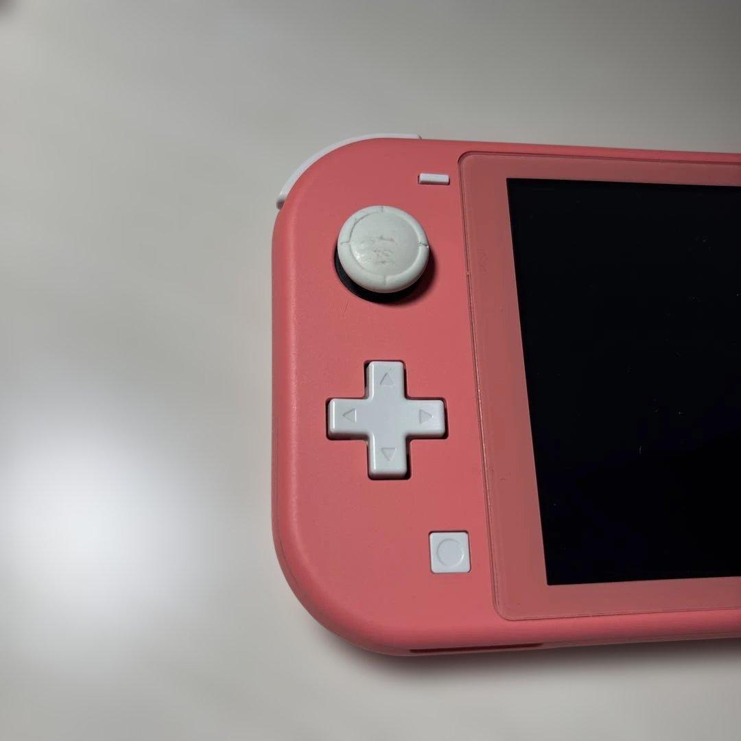 な*様 【訳あり・動作問題なし】Nintendo Switch Lite 本体