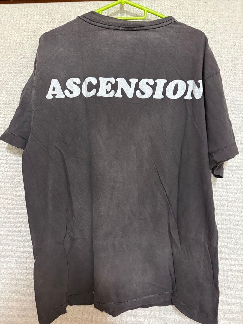 セントマイケル ピンクシープ　Tシャツ