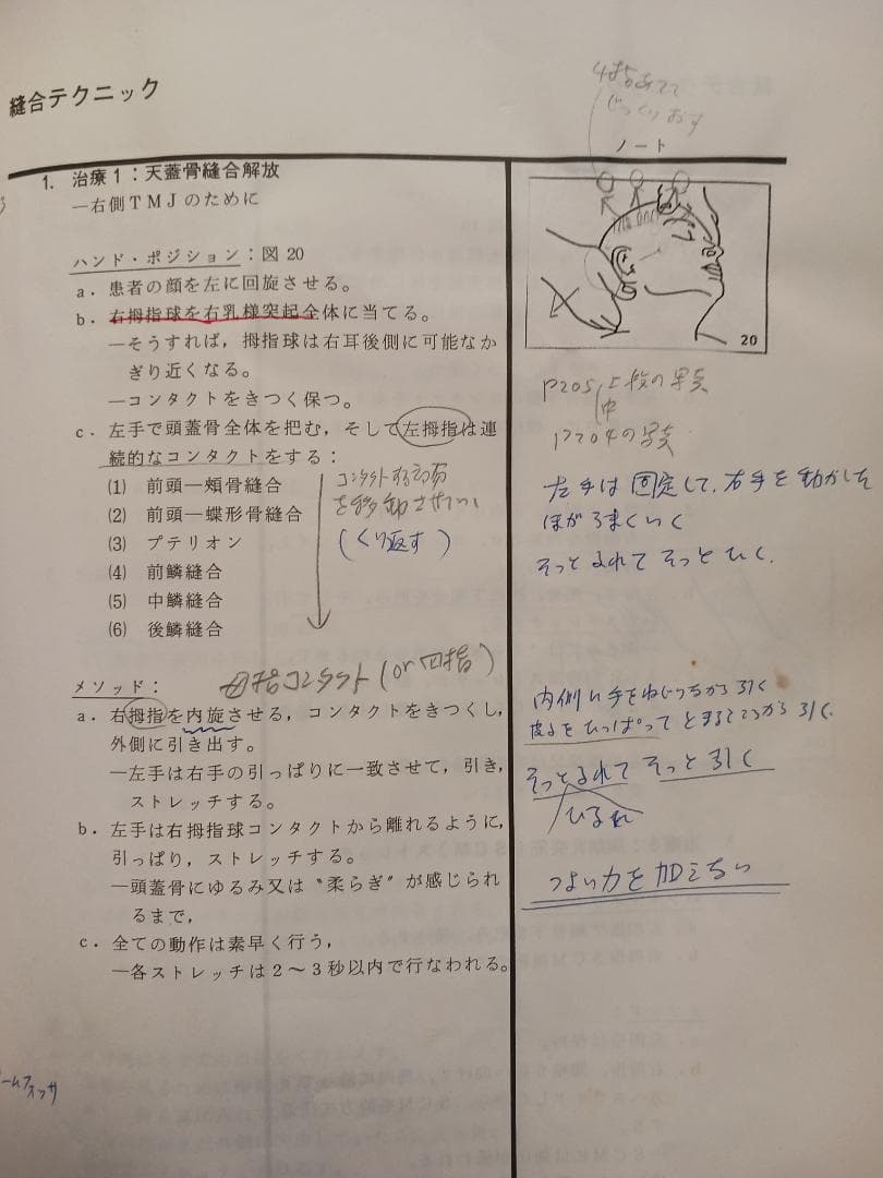 頭蓋骨テクニック参加者ガイド