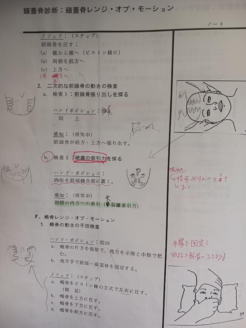 頭蓋骨テクニック参加者ガイド
