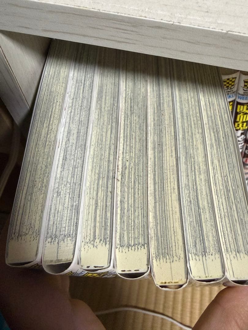 吸血鬼すぐ死ぬ 29冊セット