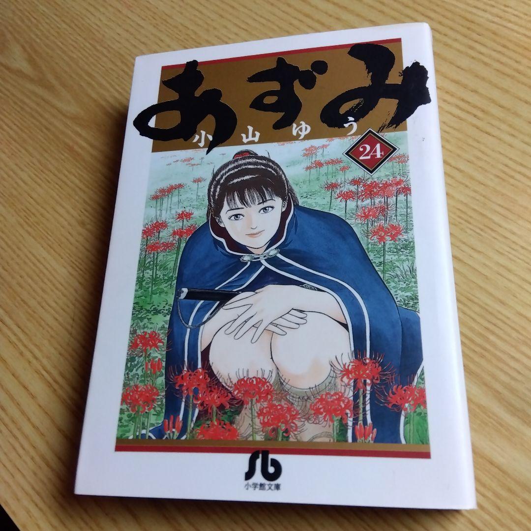 (時間限定 値下げ)　あずみ　文庫版　全24巻　小山ゆう