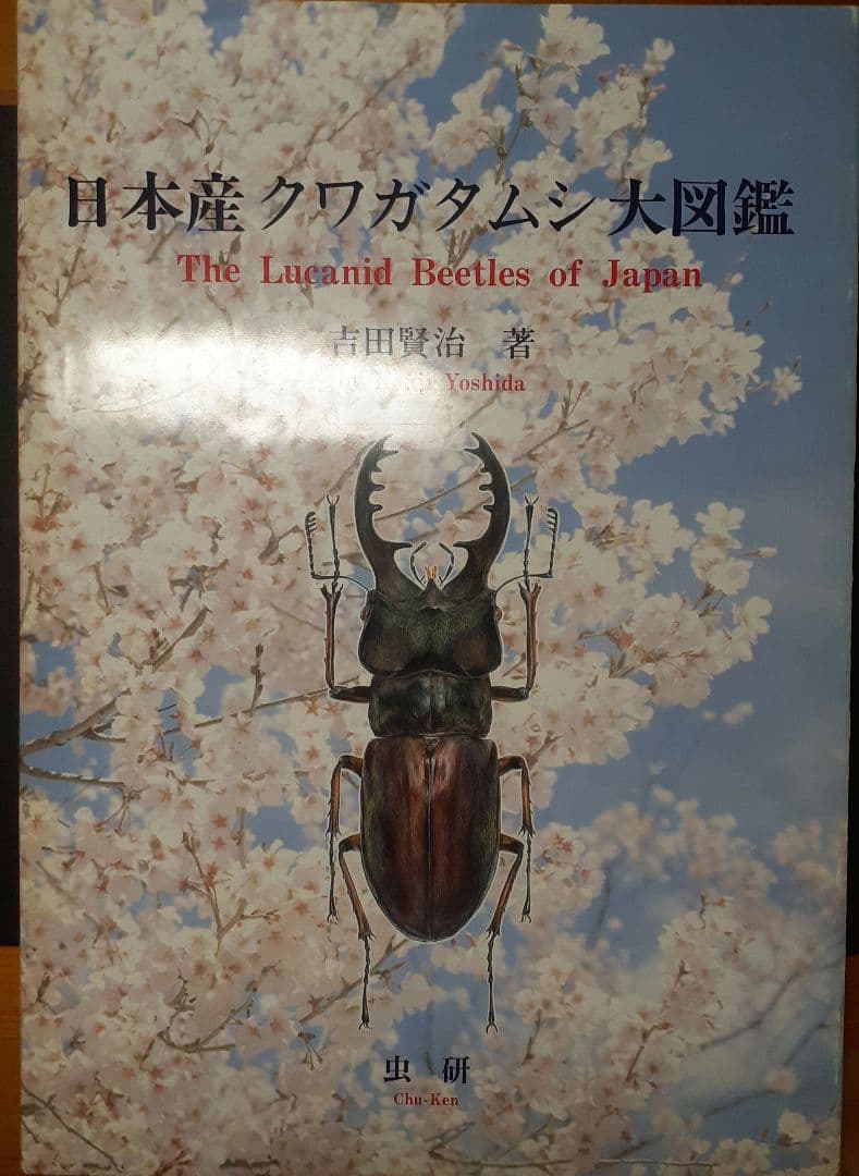 入手難 日本産クワガタムシ大図鑑　吉田賢治