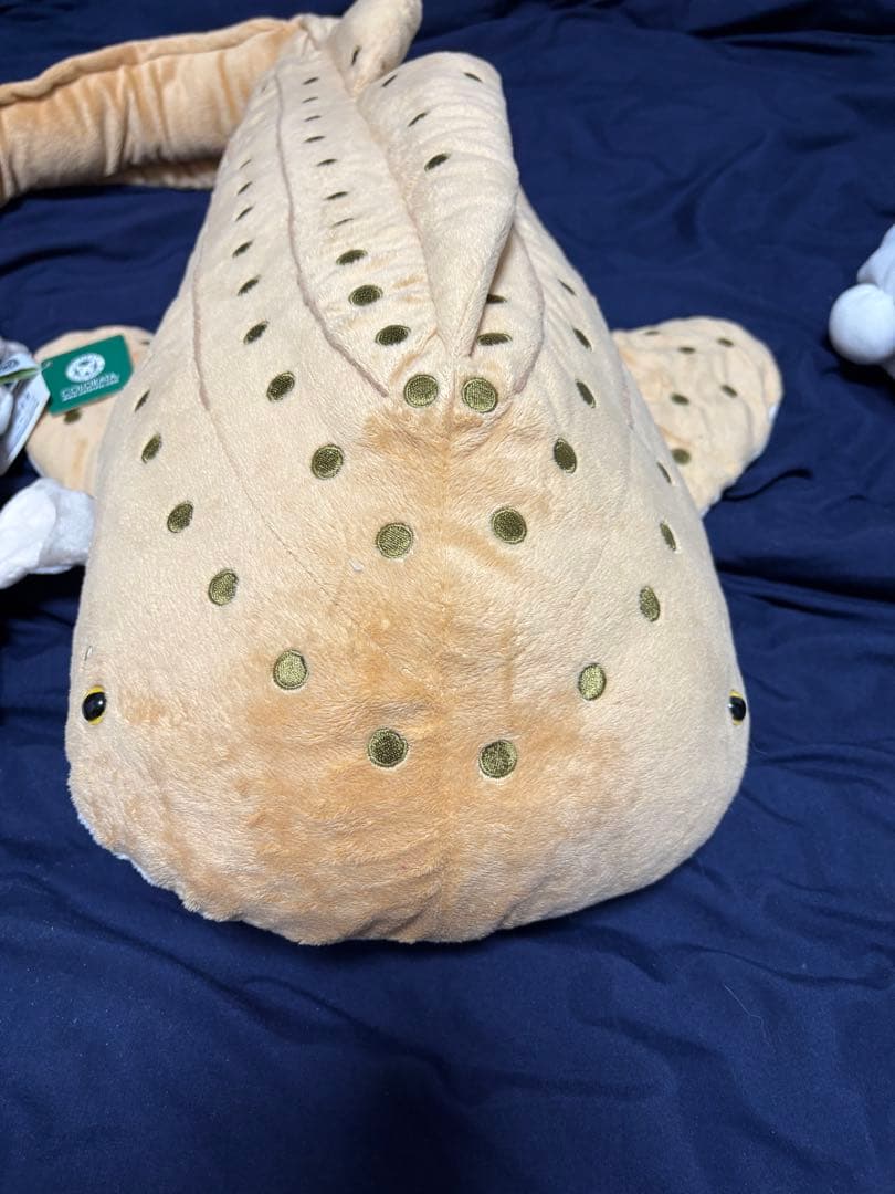 トラフザメ　シロワニ　ぬいぐるみ