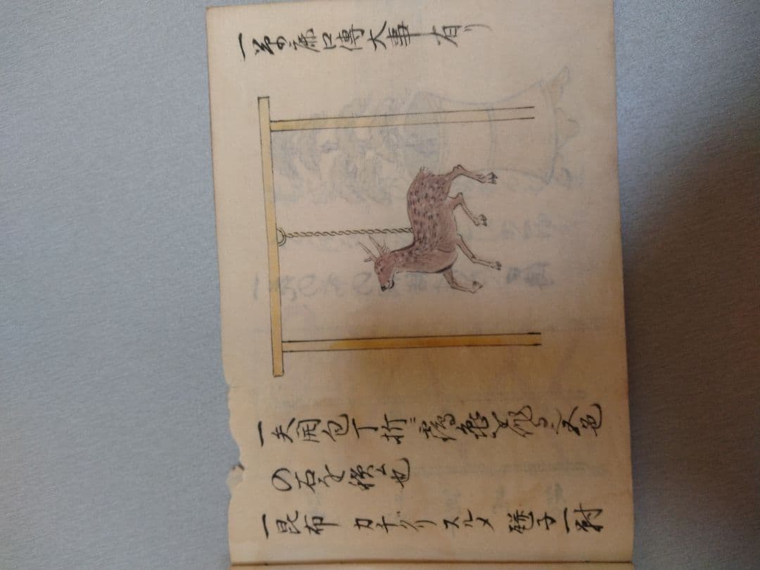 小笠原流射形　秘密作得　授与書（免許皆伝書？
