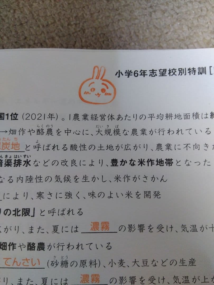 2024 SAPIX ウィークリーサピックス 理科・社会 知識の総完成 赤解答