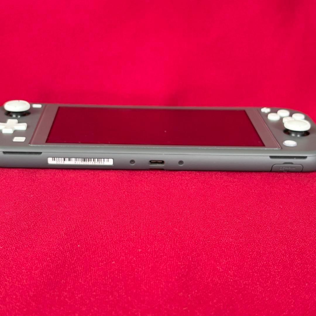 Nintendo Switch ライト　グレー　本体　充電器　キャリングケース