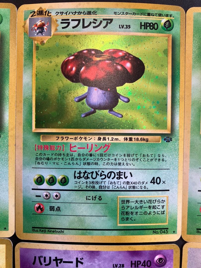 旧裏　ポケモンジャングル　キラ　まとめ売り　6枚セット　ホロ