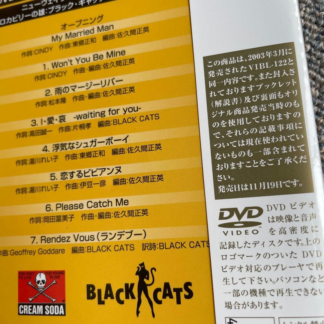 ブラックキャッツ DVD 新品 ロカビリー クリームソーダ ピンクドラゴン