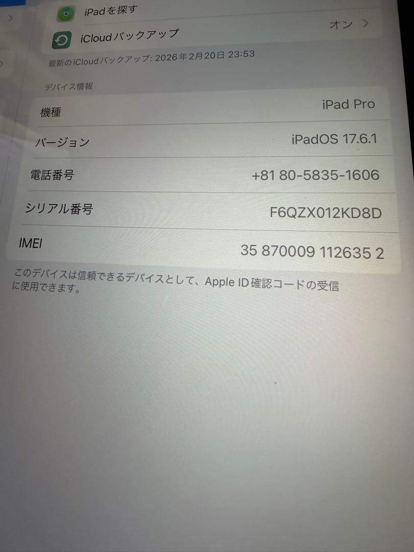 ナ*ツ様 iPad Pro (iPadOS 17.6.1) 本体　シルバー　25