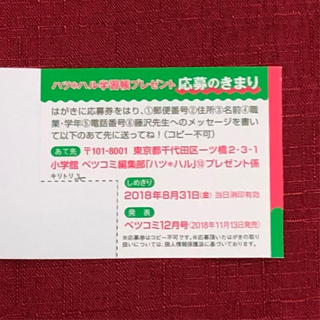 ❤︎当選❤︎藤沢志月❤︎ハツハル   シークレット学習張