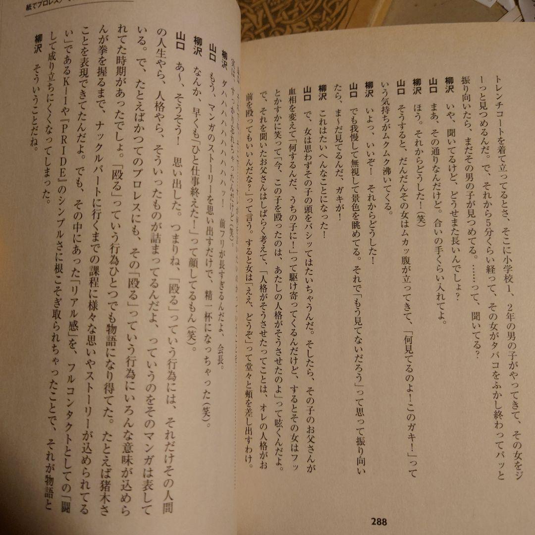 紙でプロレス ソリチュード / 柳沢忠之 山口日昇 / ぴあ