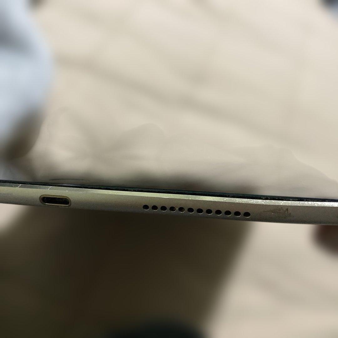 K*☆様 Apple iPad Pro 9.7インチ 本体 256GB 訳あり