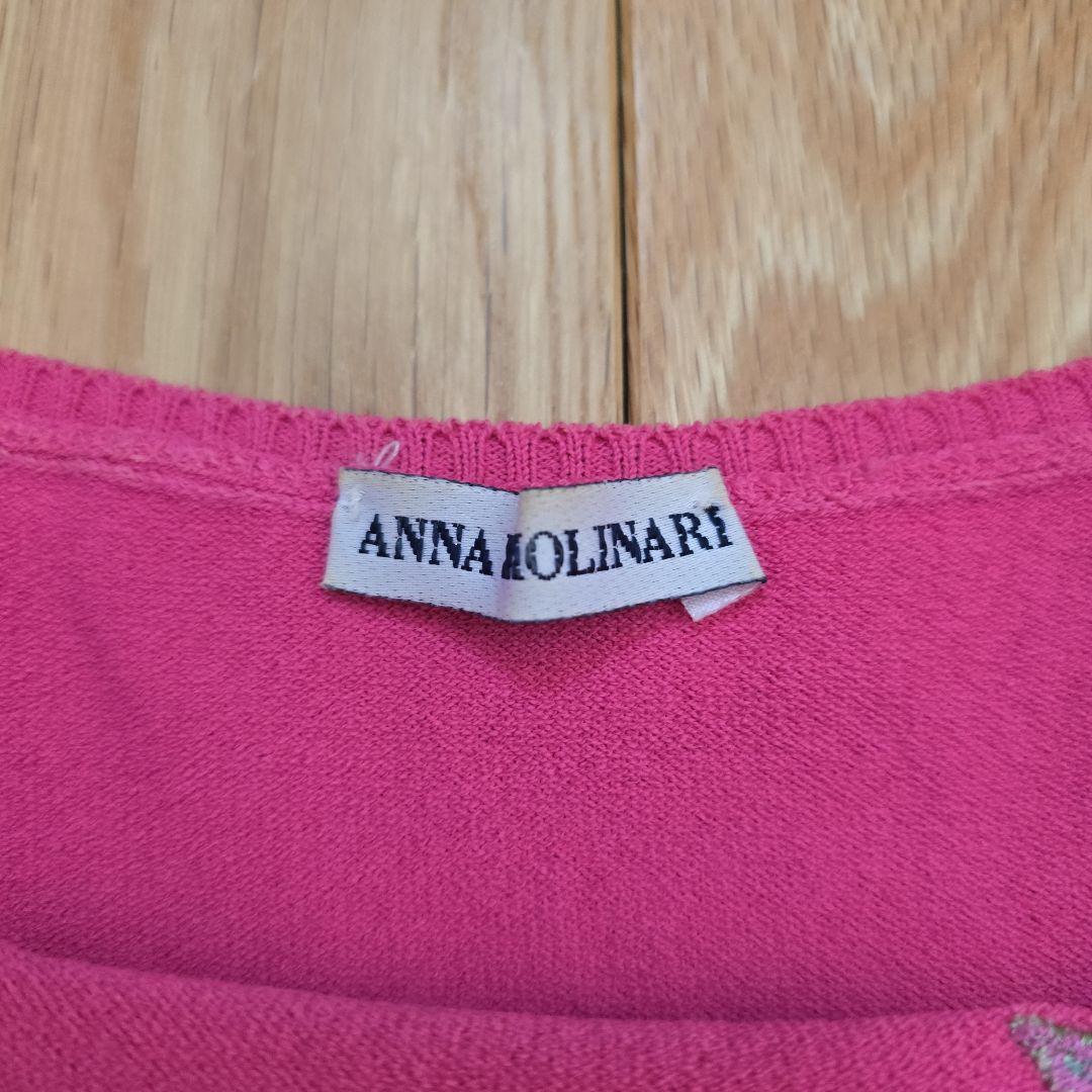 ANNA MOLINARI いちご刺繍 半袖トップス