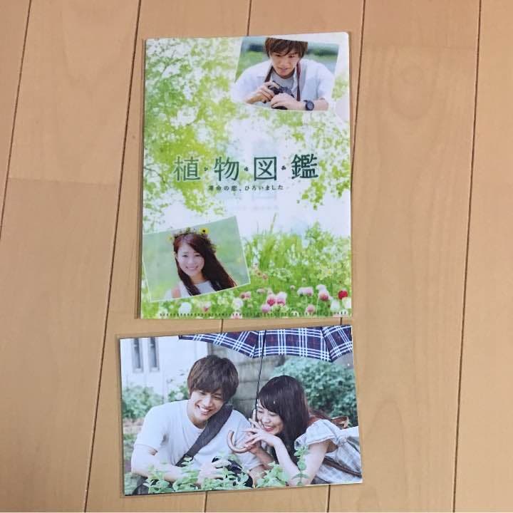 植物図鑑限定盤