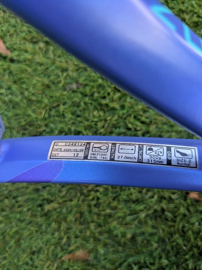 【カスタムフィット】イーゾーン100 G2 2本セット