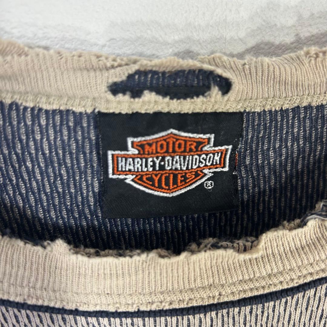 USA製 HARLEY DAVIDSON ハーレー サーマル ロンT ボロ レア
