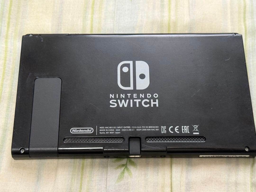 Nintendo Switch 本体　ドッグ
