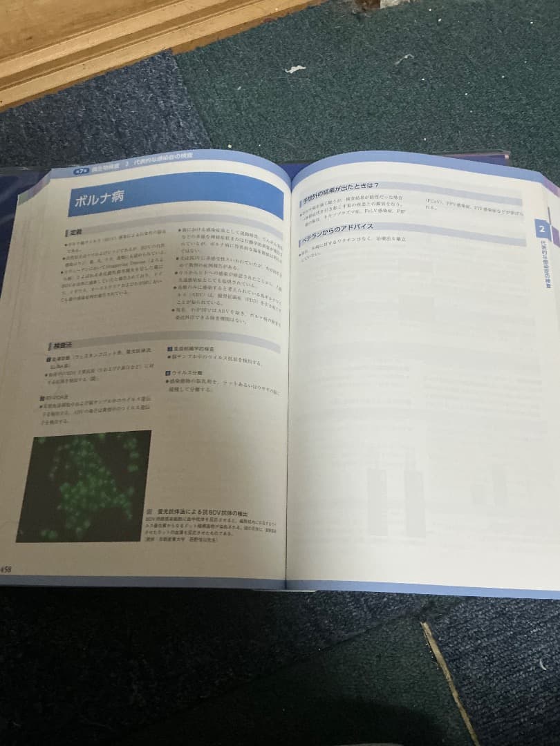 SA Medicine BOOKS 犬と猫の検査・手技ガイド2019