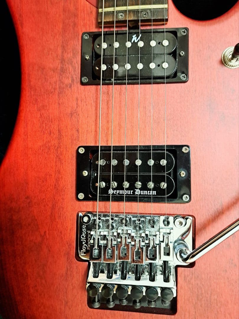 Washburn N24 ALDER / PADAUK 【状態良し】