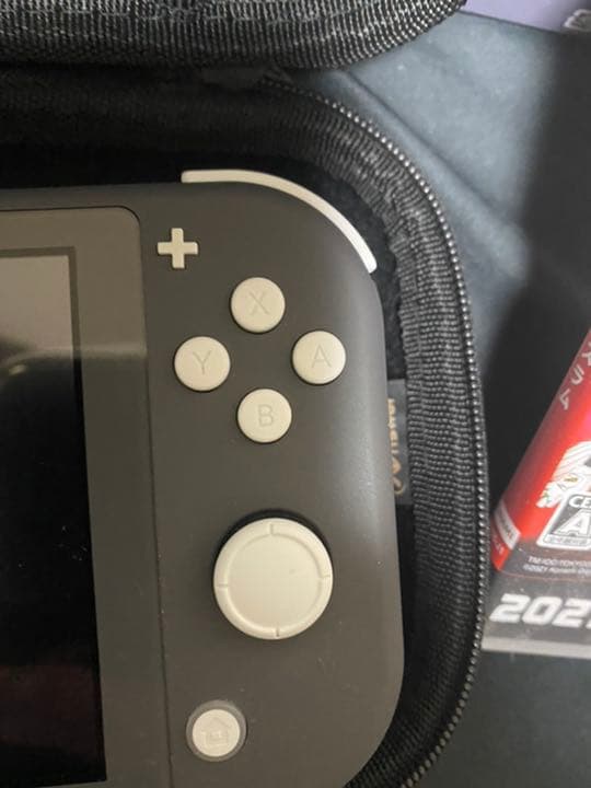 Nintendo Switch NINTENDO SWITCH LITE グレー